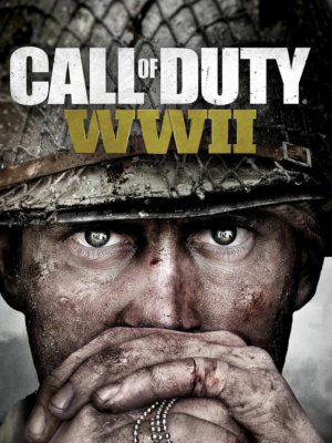 CALL OF DUTY: WW2 GOLD - XBOX ONE / SERIES