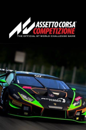 ASSETTO CORSA COMPETIZIONE