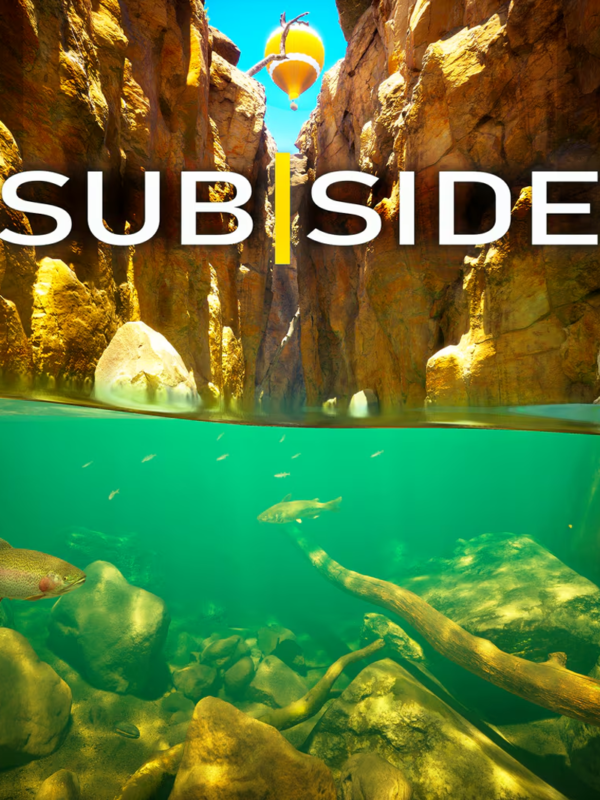 SUBSIDE VR2