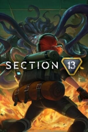 SECTION 13